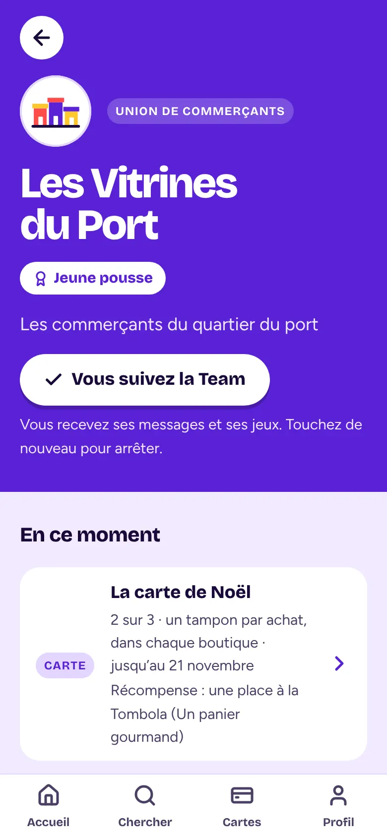 La page d’une Team dans Gling : Les Vitrines du Port, union de commerçants, avec sa carte de Noël et sa Tombola en cours.